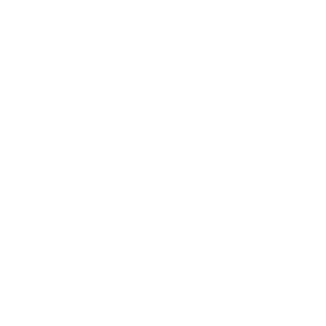 Icon den Logos Sportschützenverein Alstätte in weiß