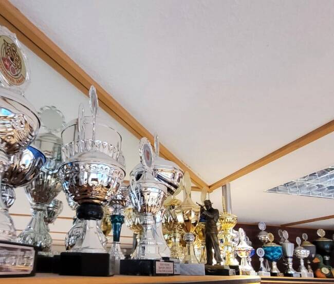 Mehrere Pokale auf einem Wandregal